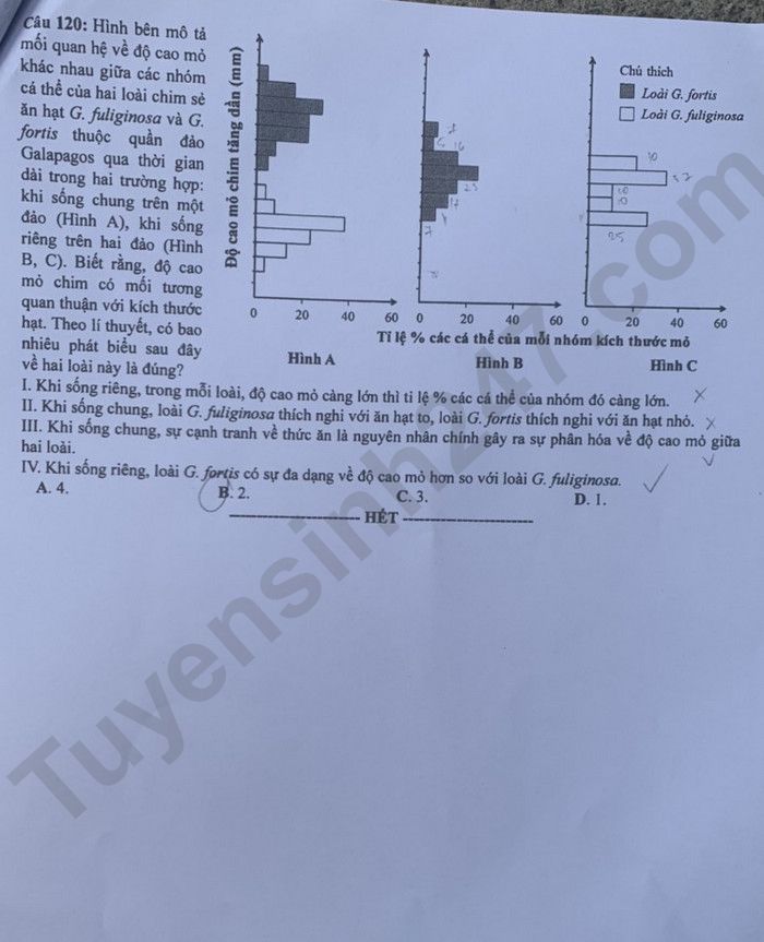 Giáo dục - Đáp án đề thi môn Sinh học kỳ thi tốt nghiệp THPT năm 2023 mã đề 219 (Hình 6).