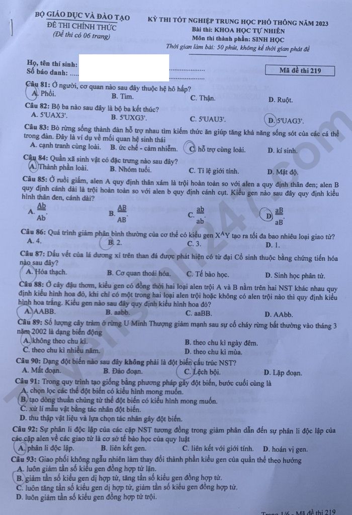 Giáo dục - Đáp án đề thi môn Sinh học kỳ thi tốt nghiệp THPT năm 2023 mã đề 219