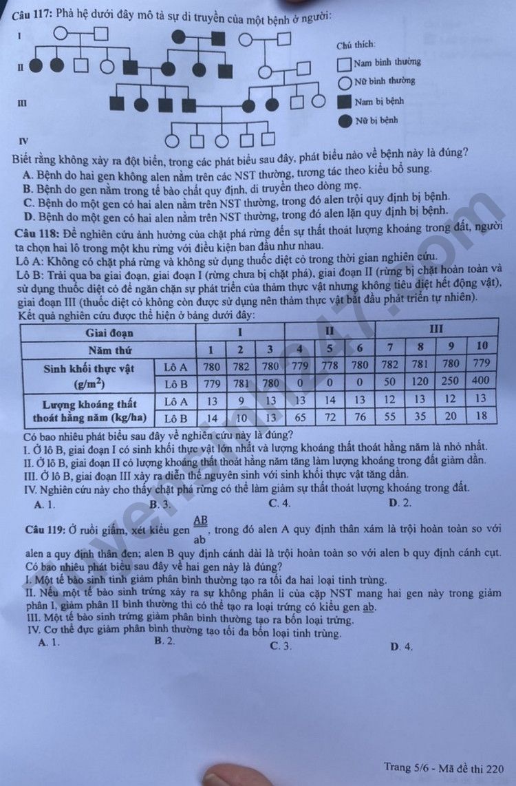 Giáo dục - Đáp án đề thi môn Sinh học kỳ thi tốt nghiệp THPT năm 2023 mã đề 220 (Hình 5).