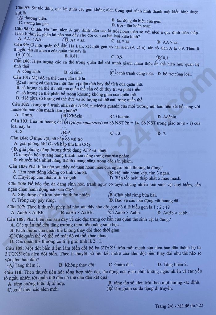 Giáo dục - Đáp án đề thi môn Sinh học kỳ thi tốt nghiệp THPT năm 2023 mã đề 222 (Hình 2).