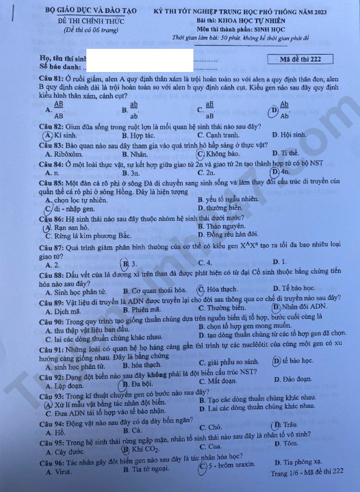 Giáo dục - Đáp án đề thi môn Sinh học kỳ thi tốt nghiệp THPT năm 2023 mã đề 222