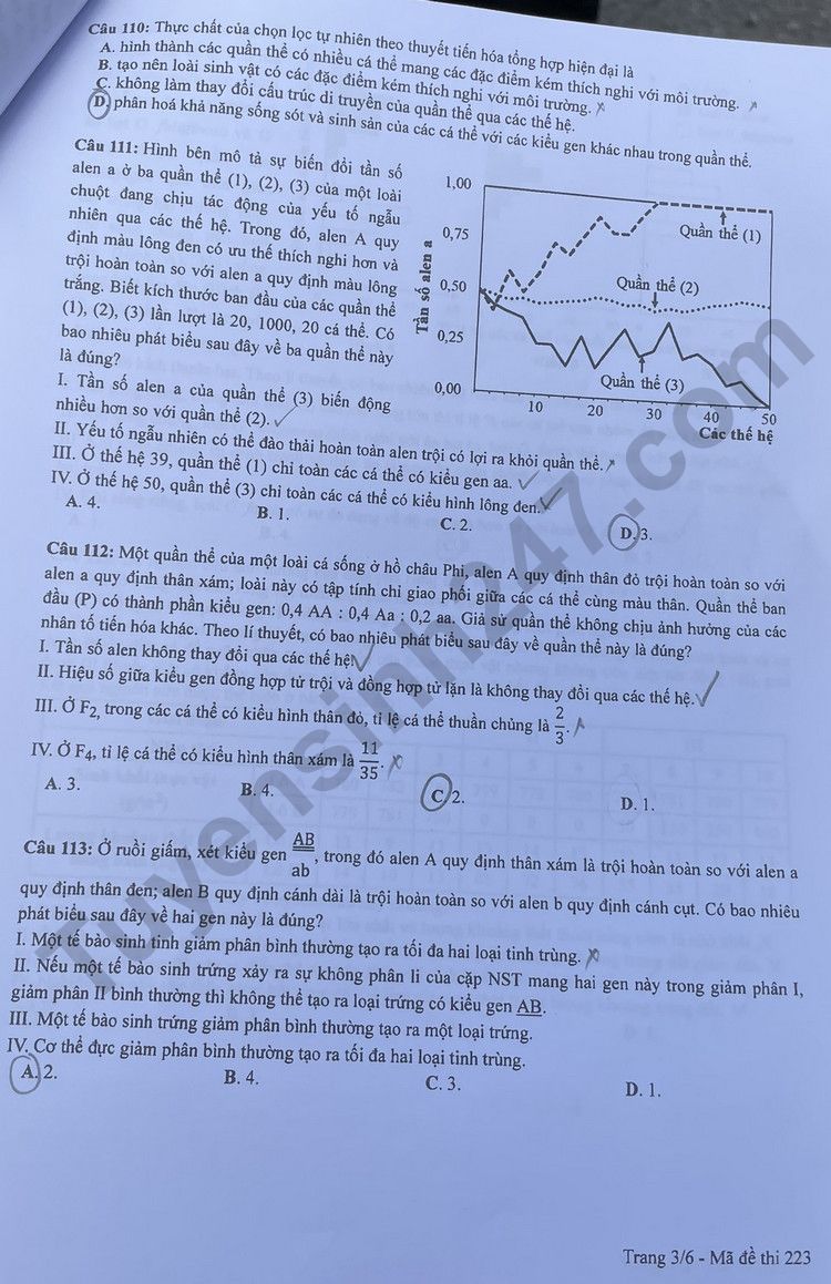 Giáo dục - Đáp án đề thi môn Sinh học kỳ thi tốt nghiệp THPT năm 2023 mã đề 223 (Hình 3).