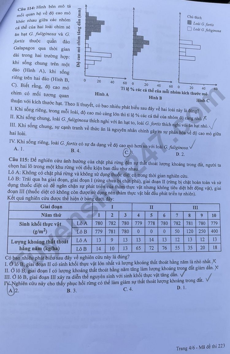 Giáo dục - Đáp án đề thi môn Sinh học kỳ thi tốt nghiệp THPT năm 2023 mã đề 223 (Hình 4).