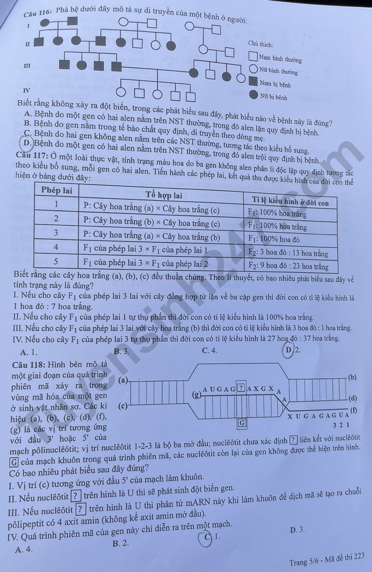 Giáo dục - Đáp án đề thi môn Sinh học kỳ thi tốt nghiệp THPT năm 2023 mã đề 223 (Hình 5).