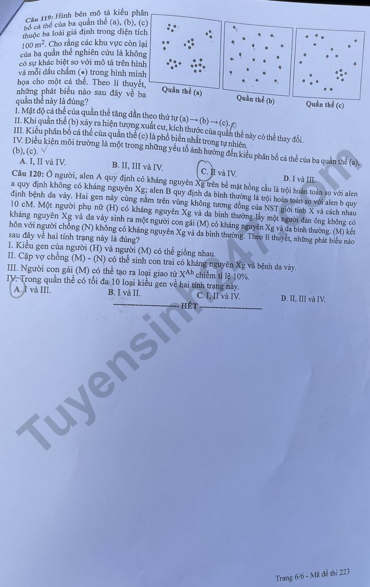 Giáo dục - Đáp án đề thi môn Sinh học kỳ thi tốt nghiệp THPT năm 2023 mã đề 223 (Hình 6).