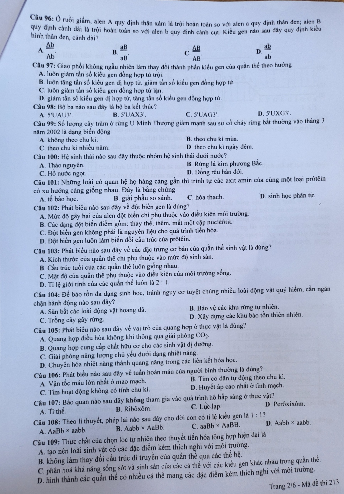 Giáo dục - Đáp án đề thi môn Sinh học kỳ thi tốt nghiệp THPT năm 2023 mã đề 213 (Hình 2).
