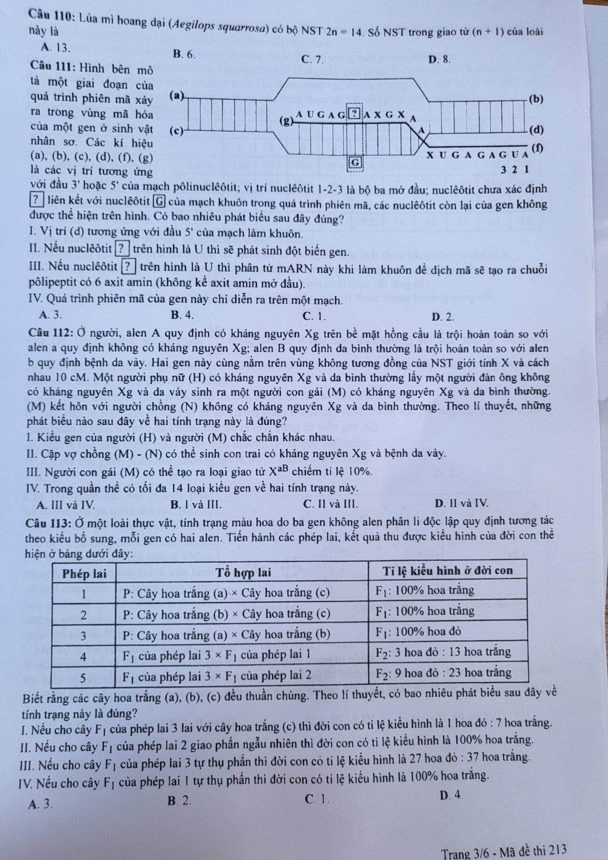 Giáo dục - Đáp án đề thi môn Sinh học kỳ thi tốt nghiệp THPT năm 2023 mã đề 213 (Hình 3).