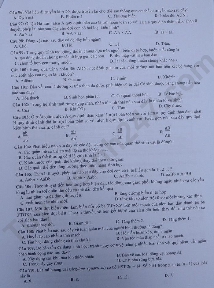 Giáo dục - Đáp án đề thi môn Sinh học kỳ thi tốt nghiệp THPT năm 2023 mã đề 218 (Hình 2).