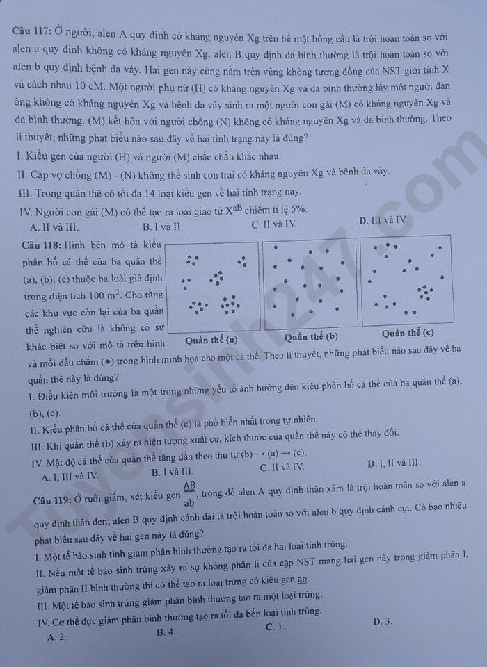 Giáo dục - Đáp án đề thi môn Sinh học kỳ thi tốt nghiệp THPT năm 2023 mã đề 218 (Hình 4).