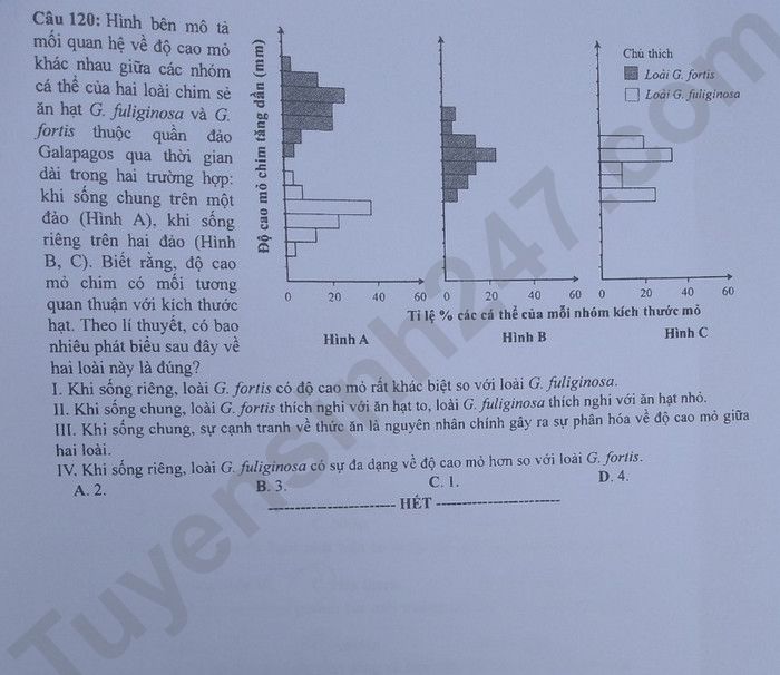 Giáo dục - Đáp án đề thi môn Sinh học kỳ thi tốt nghiệp THPT năm 2023 mã đề 218 (Hình 5).