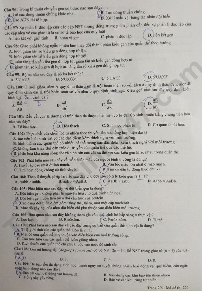 Giáo dục - Đáp án đề thi môn Sinh học kỳ thi tốt nghiệp THPT năm 2023 mã đề 221 (Hình 2).