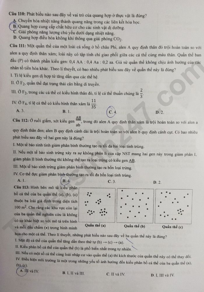 Giáo dục - Đáp án đề thi môn Sinh học kỳ thi tốt nghiệp THPT năm 2023 mã đề 221 (Hình 3).