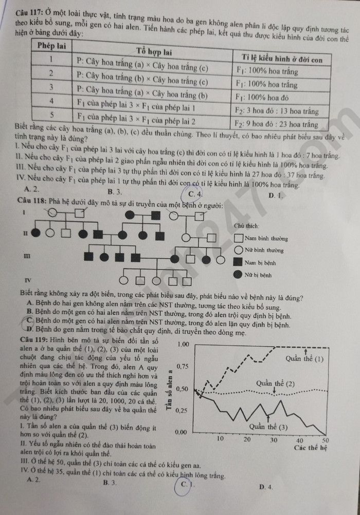 Giáo dục - Đáp án đề thi môn Sinh học kỳ thi tốt nghiệp THPT năm 2023 mã đề 221 (Hình 5).