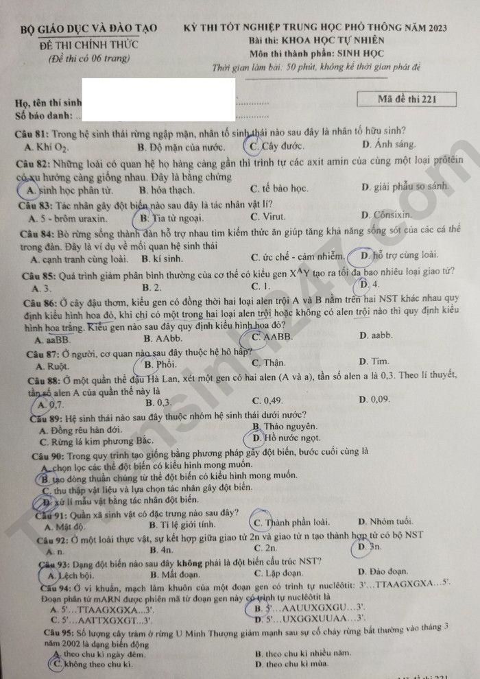 Giáo dục - Đáp án đề thi môn Sinh học kỳ thi tốt nghiệp THPT năm 2023 mã đề 221