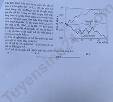 Giáo dục - Đáp án đề thi môn Sinh học kỳ thi tốt nghiệp THPT năm 2023 mã đề 216 (Hình 6).