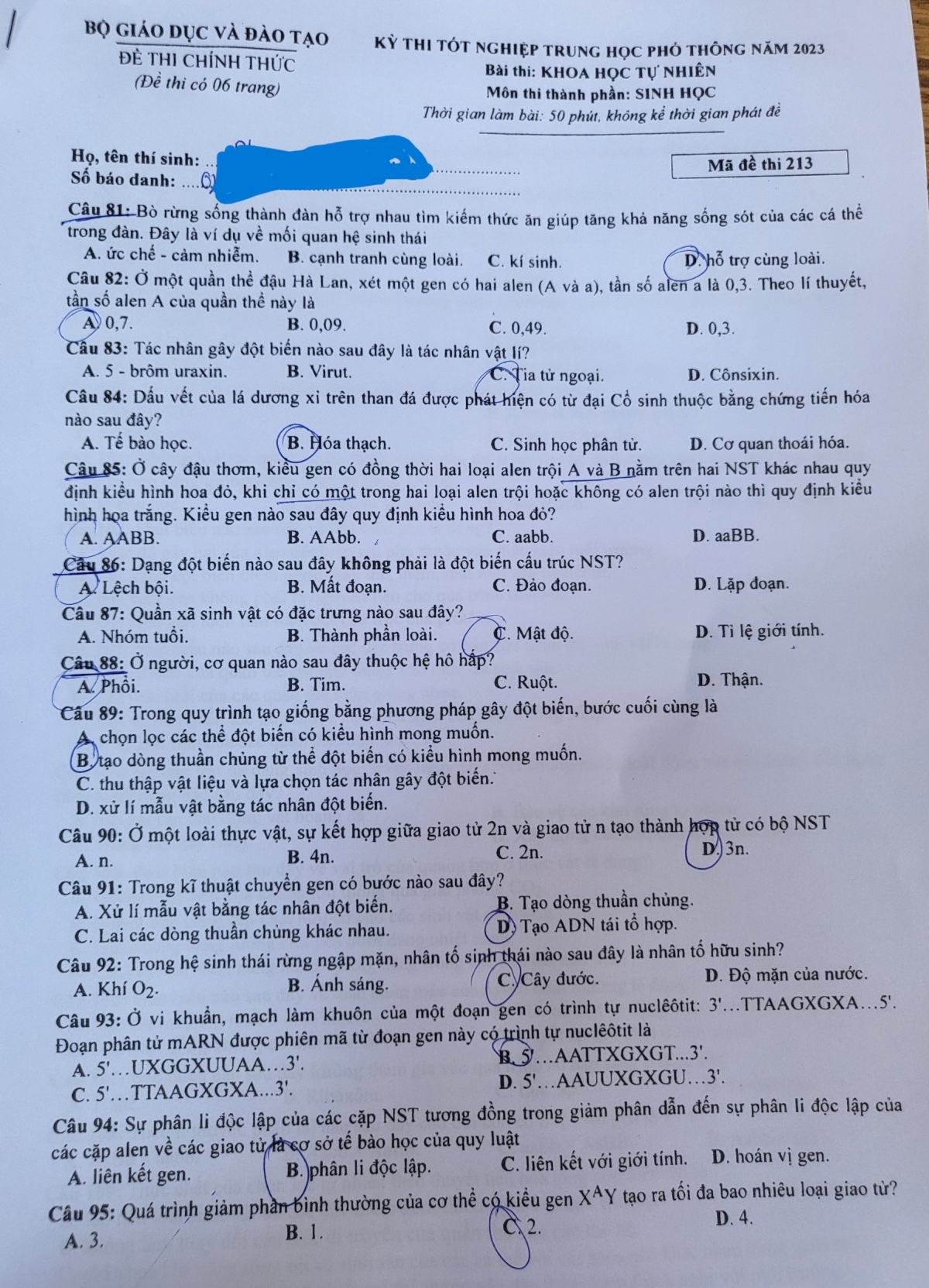 Giáo dục - Đáp án đề thi môn Sinh học kỳ thi tốt nghiệp THPT năm 2023 mã đề 213