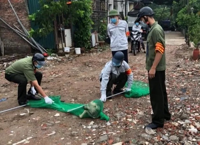 Đời sống - Cảnh báo bệnh dại gia tăng: Đừng để chết vì chủ quan (Hình 2).