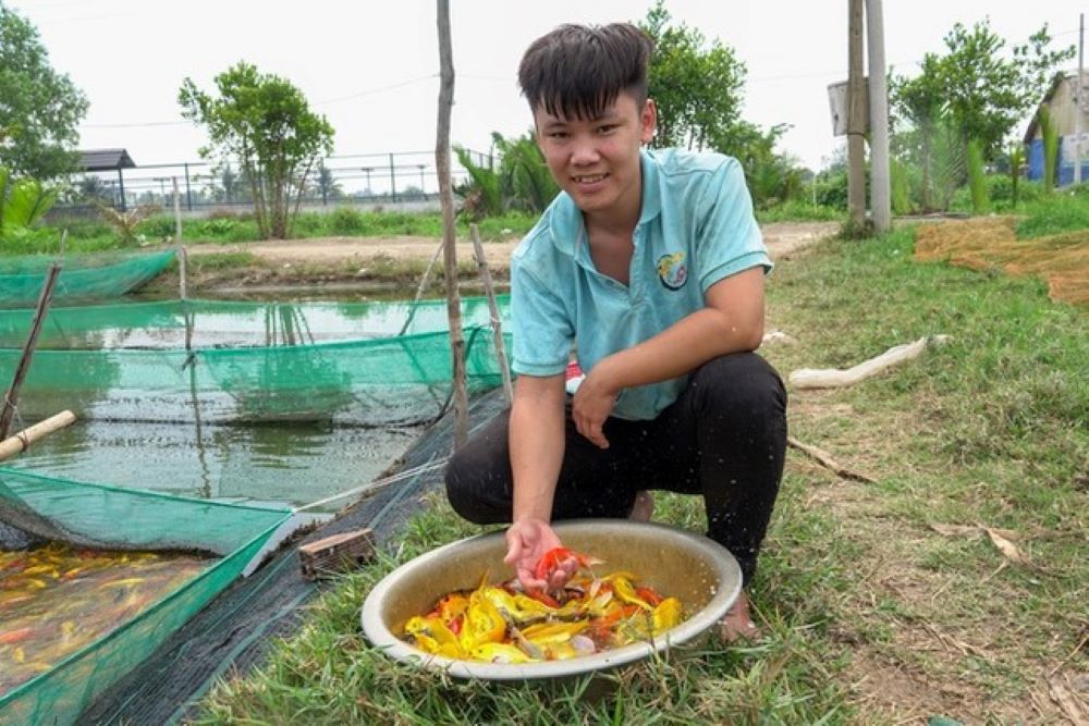 Đời sống - Chàng trai thu lãi 2 tỷ đồng/năm nhờ “chọn cá như lựa người mẫu” (Hình 2).