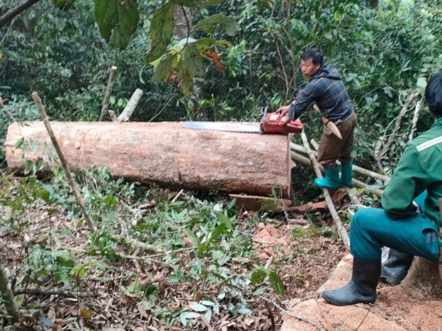 An ninh - Hình sự - Thanh Hoá: Bắt quả tang 5 đối tượng khai thác gỗ trái phép