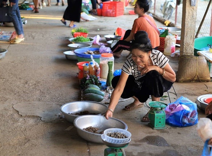 Đời sống - Con đặc sản 're re' xưa không ai ngó, nay được cánh mày râu săn tìm với giá ngất ngưởng (Hình 6).