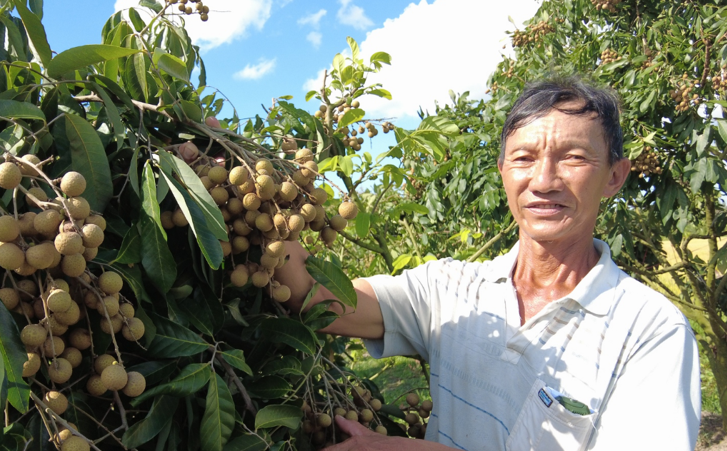 Đời sống - Anh nông dân đút túi tiền tỷ mỗi năm nhờ trồng cây “ngọt ngào như dòng sữa mẹ” (Hình 2).