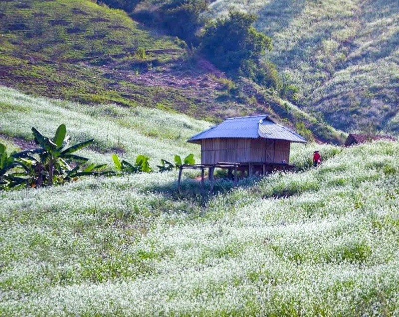 Văn hoá - Những điểm đến hấp dẫn của Sơn La 'đốn tim' bao du khách (Hình 4).