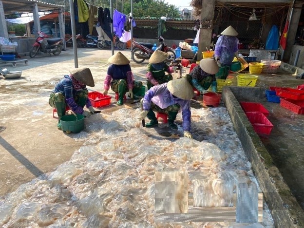 Đời sống - Biến loài bập bềnh trên biển thành 'vàng trắng', chàng trai đút túi hàng trăm triệu đồng/năm (Hình 8).