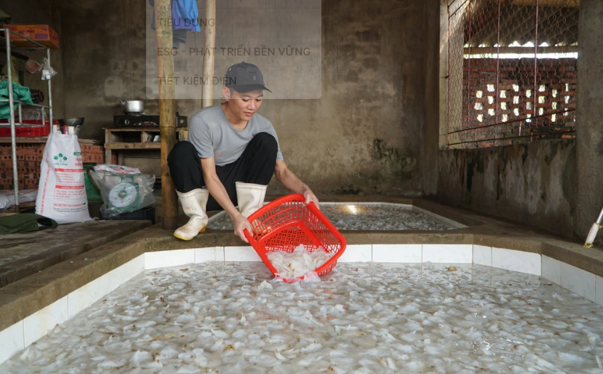 Đời sống - Biến loài bập bềnh trên biển thành 'vàng trắng', chàng trai đút túi hàng trăm triệu đồng/năm (Hình 6).