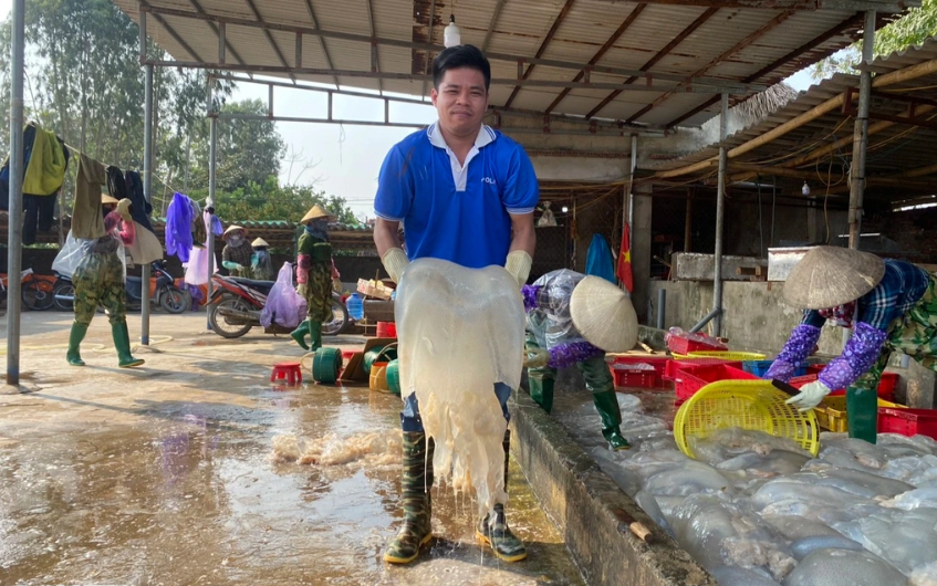 Đời sống - Biến loài bập bềnh trên biển thành 'vàng trắng', chàng trai đút túi hàng trăm triệu đồng/năm