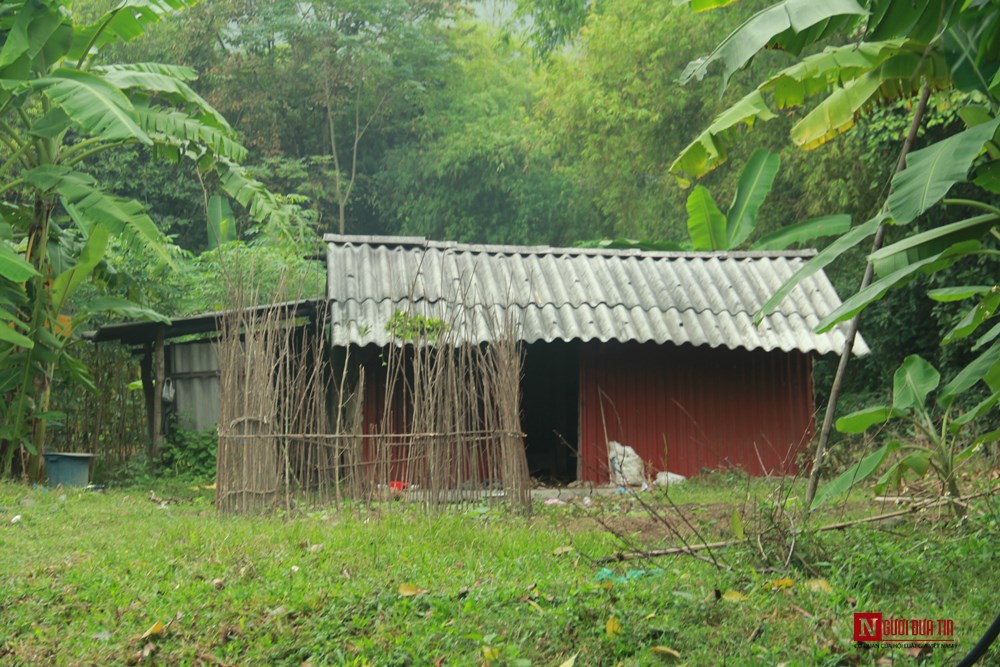 Dân sinh - Xót xa cuộc sống hai mẹ con bị tâm thần sống trong ngôi nhà giữa rừng hoang vắng (Hình 3).