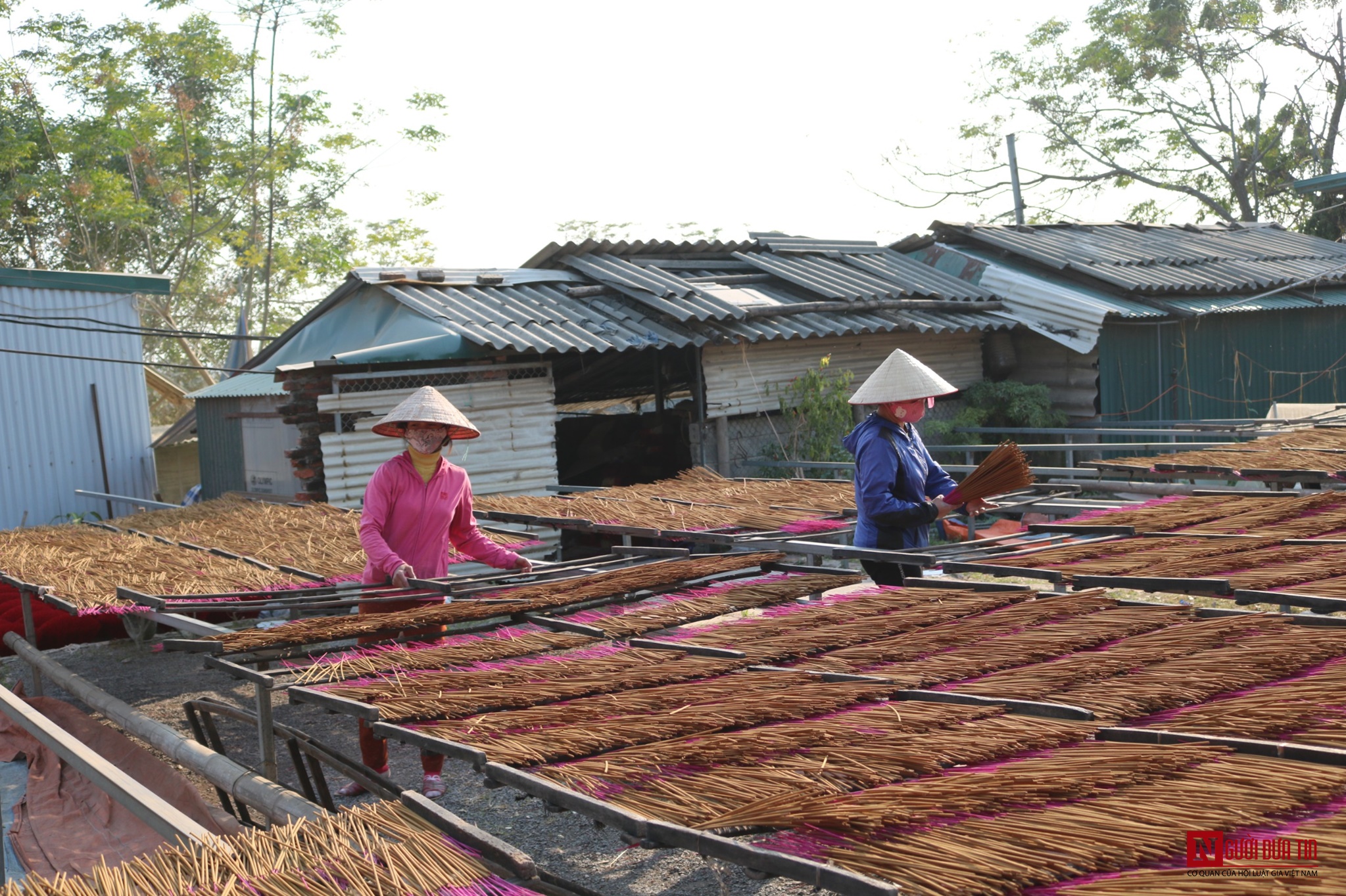 Dân sinh - Rực rỡ làng hương tăm duy nhất còn lại ở Hà Nội chuẩn bị cho Tết Nguyên đán 2020 (Hình 3).