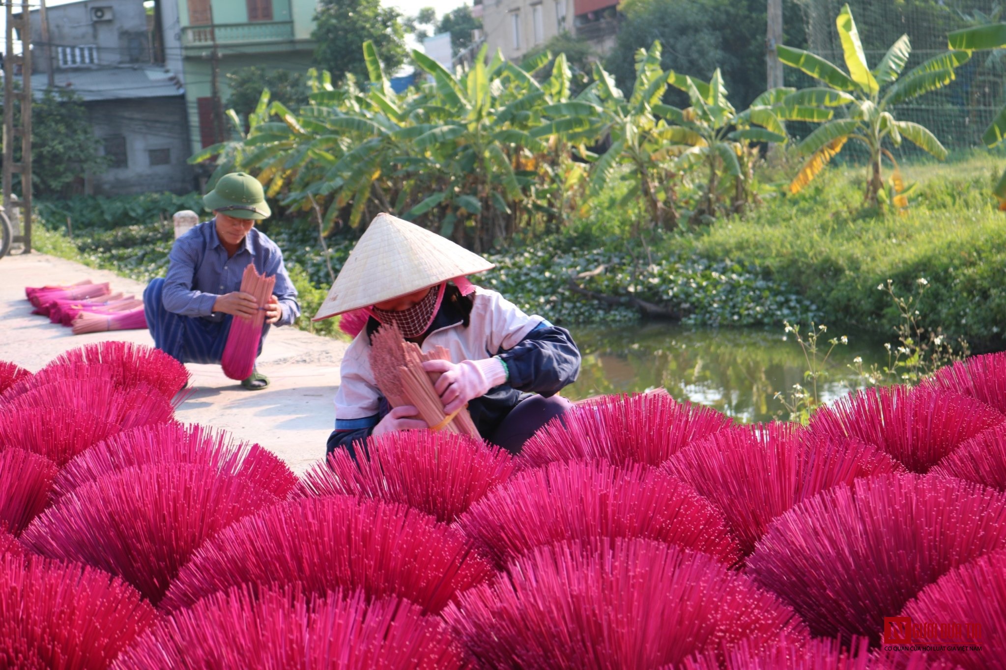 Dân sinh - Rực rỡ làng hương tăm duy nhất còn lại ở Hà Nội chuẩn bị cho Tết Nguyên đán 2020 (Hình 10).