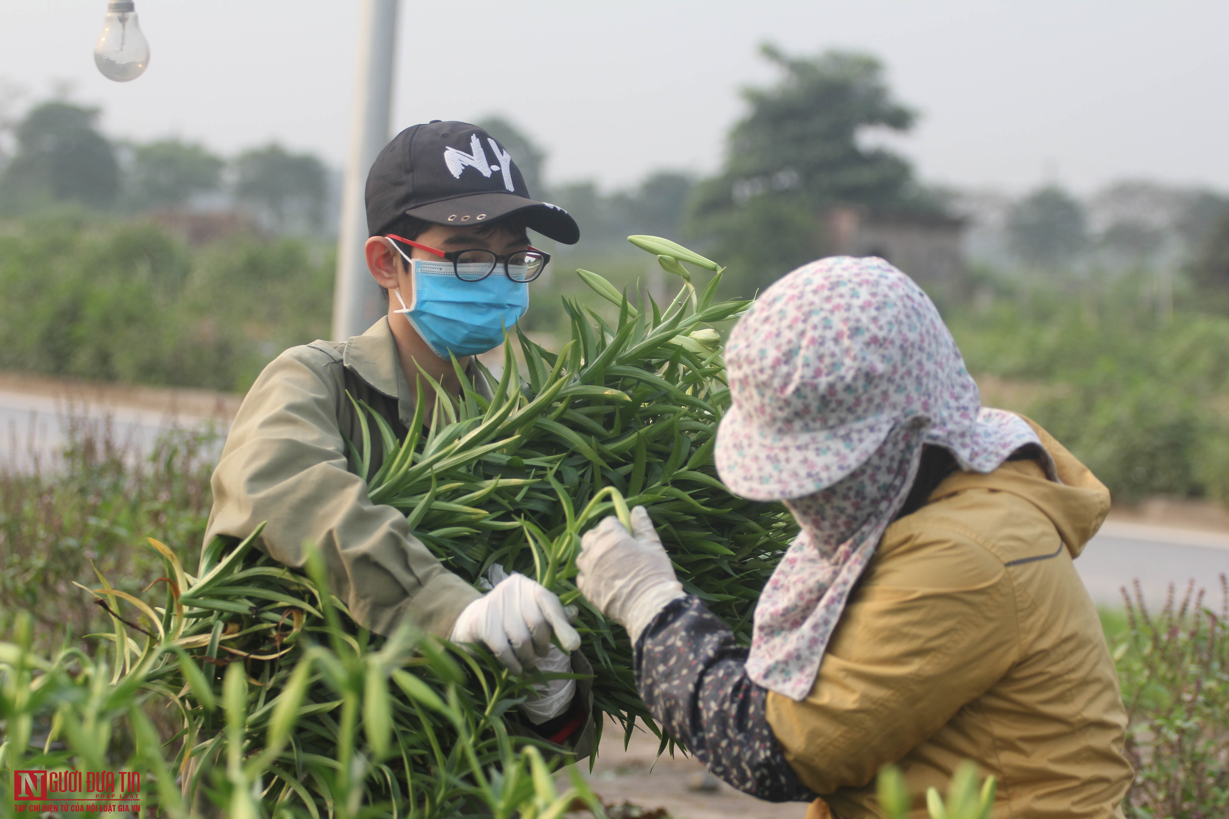 Tin nhanh - Dịch Covid-19 khiến 'hoa cười người khóc', nông dân nghẹn đắng ước 'giá mà hoa ăn được tôi cũng đem tích trữ'  (Hình 16).