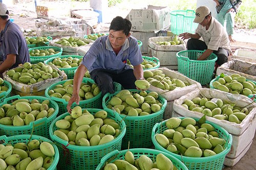 Đầu tư - Hơn 300 đại biểu sẽ tham dự hội nghị xúc tiến đầu tư Đồng Tháp năm 2017