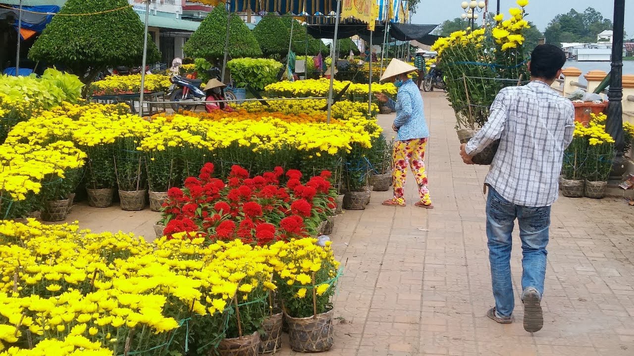 Tiêu dùng & Dư luận - TP.Cần Thơ: Làng hoa nhộn nhịp ngày cận Tết (Hình 2).