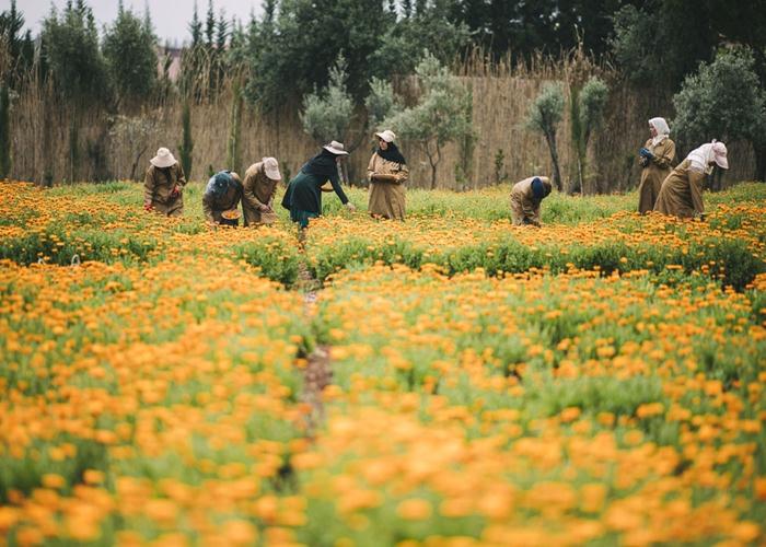 Sự kiện - Nông nghiệp thông minh, xu thế tất yếu trong tương lai gần (Hình 4).