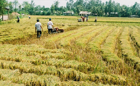 Sự kiện - Phát triển nông nghiệp gắn với du lịch trải nghiệm