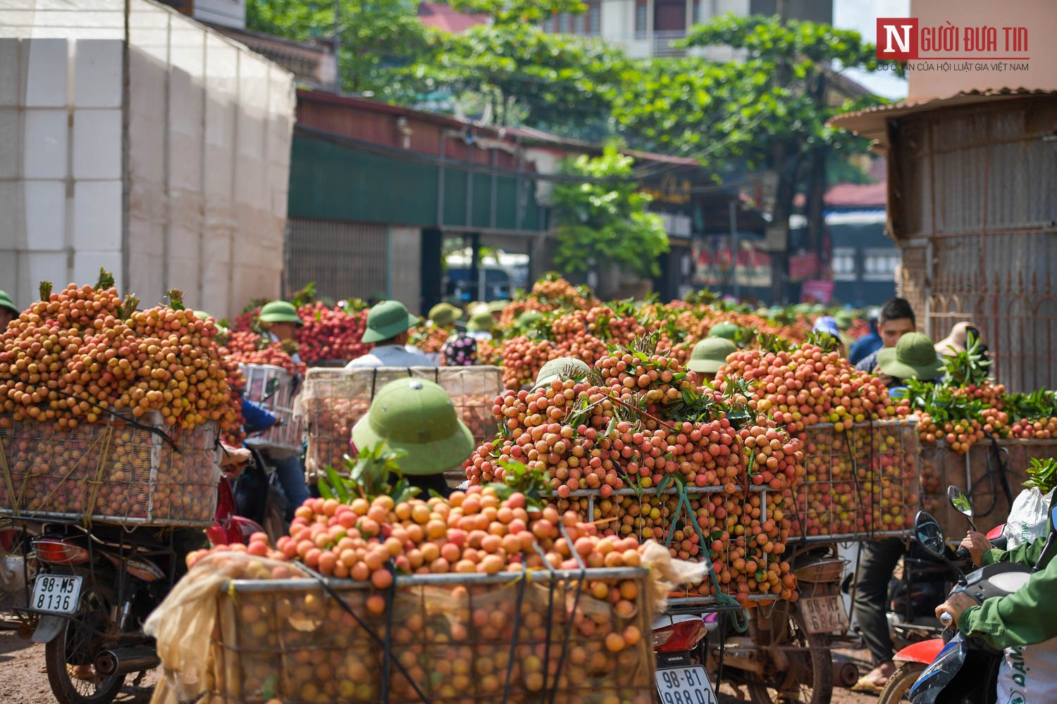 Kinh tế vĩ mô - Nông nghiệp Việt Nam đang “đốt đèn đi trong sương” (Hình 2).