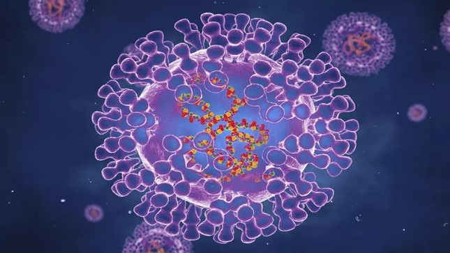 Thế giới - Virus đậu mùa khỉ tiến hóa “thần tốc”, ghi nhận thêm nhiều ca mắc