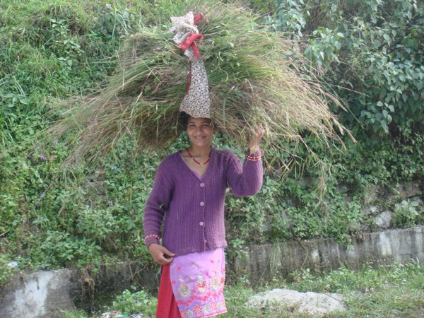 Nông nghiệp biến đổi gene thất thế trước canh tác hữu cơ ở Ấn Độ