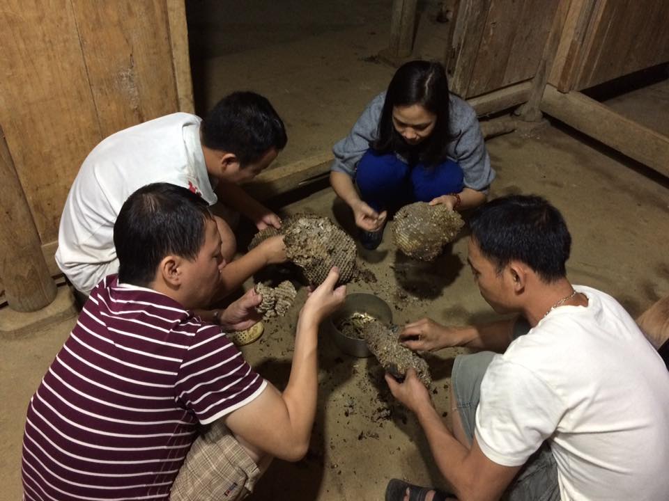 Văn hoá - Có thể bạn chưa biết: Chuyện về đặc sản ấu trùng ong của Tây Bắc (Hình 2).