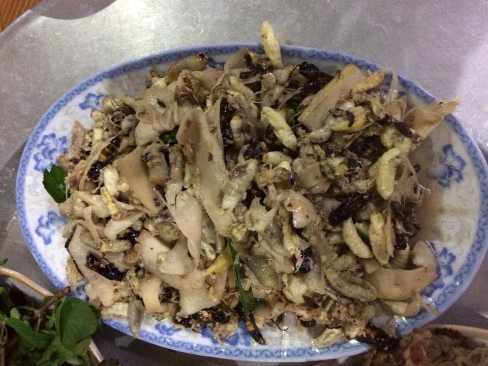 Văn hoá - Có thể bạn chưa biết: Chuyện về đặc sản ấu trùng ong của Tây Bắc (Hình 4).