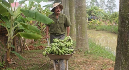 Ngôi sao - Giang Còi: Hai lần đổ vỡ hôn nhân - vết thương cũ tưởng như đã liền sẹo nhưng lại có dịp rỉ máu