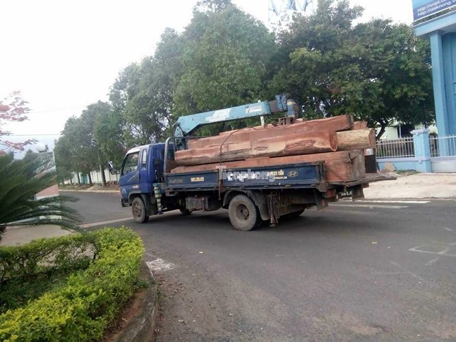 Tin nhanh - Một chiến sĩ công an qua đời khi trông coi tang vật gỗ lậu của trùm Phượng 'râu' (Hình 2).