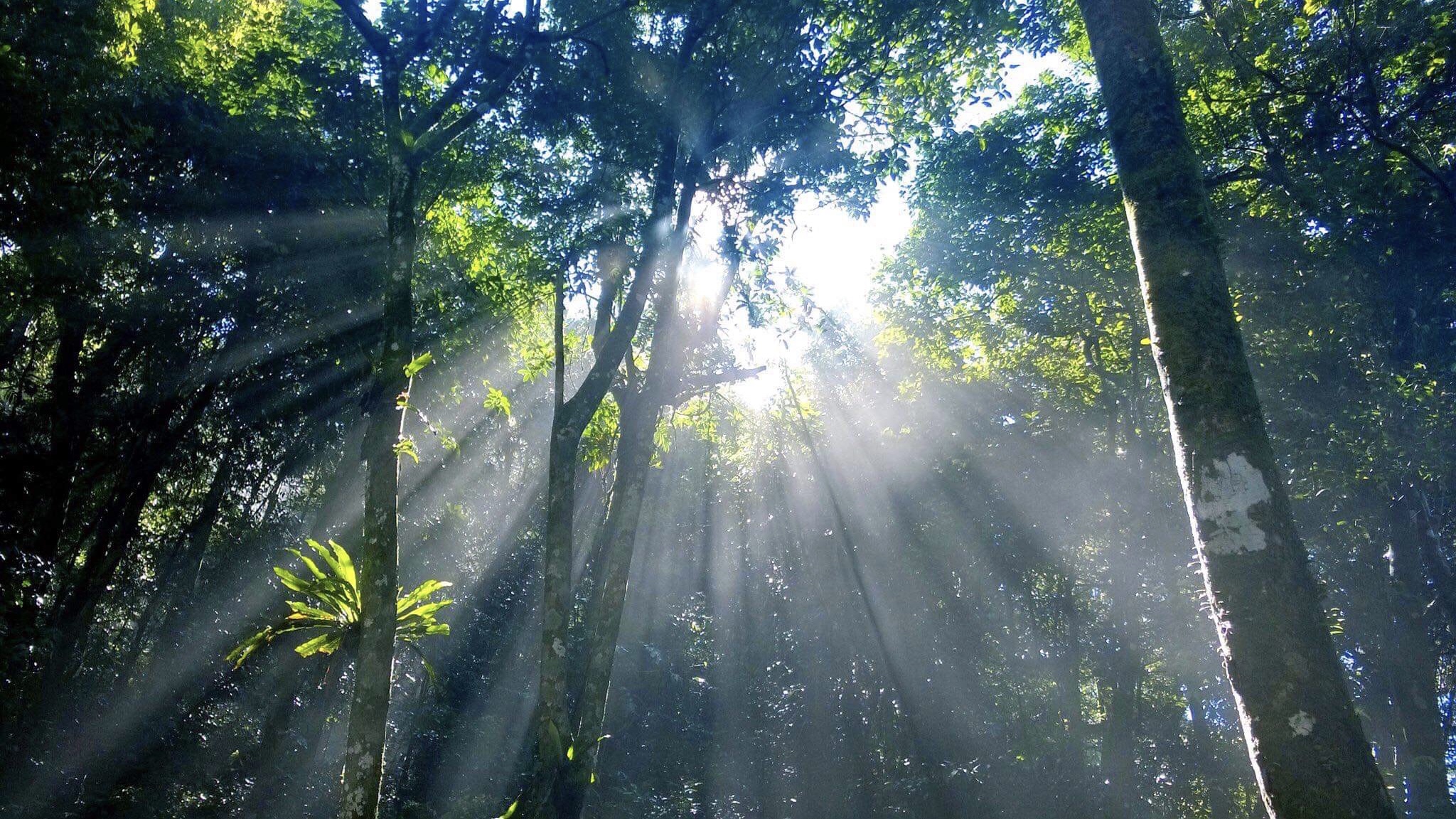 Văn hoá - Chùm ảnh: Ba Vì hoang sơ, huyền ảo (Hình 5).