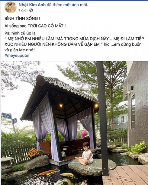 Ng&ocirc;i sao - Nhật Kim Anh tiết lộ l&yacute; do nhớ con nhưng kh&ocirc;ng d&aacute;m về gặp