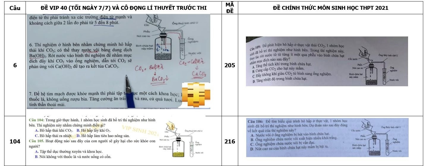 Giáo dục - Bộ GD&ĐT lên tiếng vụ thầy giáo ra câu hỏi ôn tập trùng 80% đề tốt nghiệp THPT