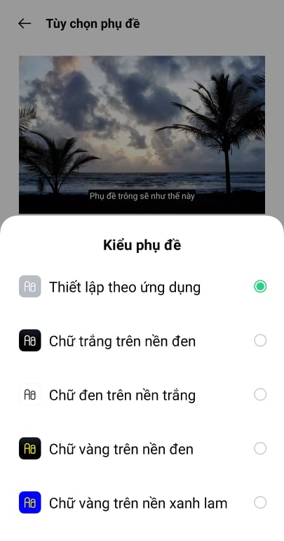 Công nghệ - Cách chỉnh hiển thị phụ đề Youtube trên điện thoại Android (Hình 6).