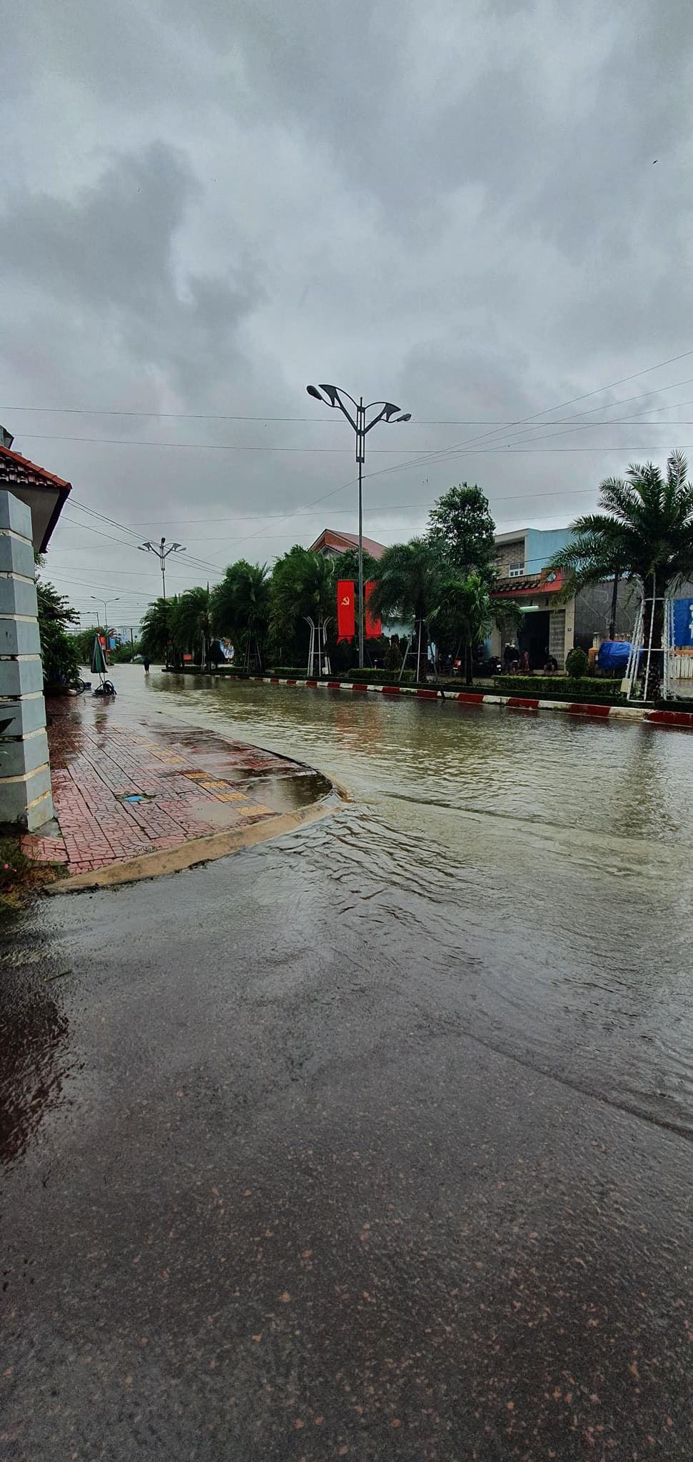 Dân sinh - Video: Mưa lũ gây ngập úng ở nhiều nơi tại Bình Định (Hình 8).