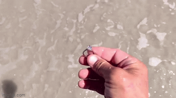 Đời sống - Đang dò tìm kim loại bất ngờ tìm thấy chiếc nhẫn kim cương gần 1 tỷ đồng